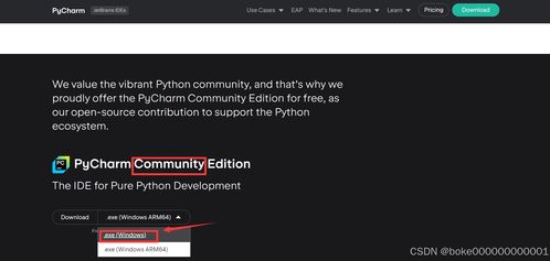 Python從零到數(shù)據(jù)分析與可視化 終極保姆級(jí)全流程指南